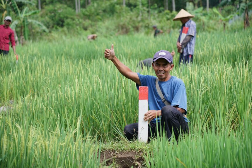 Kementerian ATR/BPN menyarankan memberi patok batas tanah. Foto: Dok Kementerian ATR/BPN
