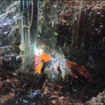 Tim SAR gabungan mengevakuasi korban longsoran sampah di TPST Bantargebang, Bekasi. Basarnas memastikan seluruh korban telah ditemukan dan operasi pencarian resmi ditutup pada Selasa (10/3/2026). Foto: Dok.BPBD