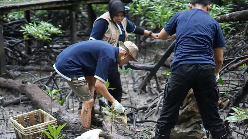 Kolaborasi Telkom dan AYS Indonesia dalam kegiatan konservasi bekantan dan penanaman mangrove di Tarakan, Kalimantan Utara beberapa waktu lalu. Foto: Telkom Indonesia