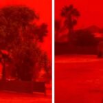 Langit memerah di Australia Barat akibat badai tropis. Foto: X @insidefolkative