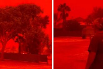 Langit memerah di Australia Barat akibat badai tropis. Foto: X @insidefolkative