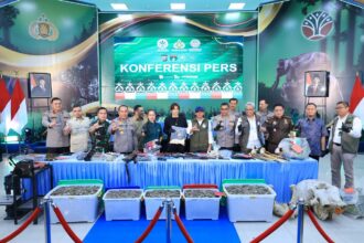 Menteri Kehutanan Raja Juli Antoni, Wakil Menteri Lingkungan Hidup Diaz Hendropriyono, Anggota Komisi III DPR RI Muhammad Rahul, Plt Gubernur Riau SF Hariyanto, Penyidik Utama Bareskrim Polri Irjen Zulkarnaen, Pangdam Tuanku Tambusai Mayjen TNI Agus Hadi Waluyo, serta Kapolda Riau Irjen Herry Heryawan serta Kepala BBKSDA Riau Supartono, perwakilan LAM Riau, serta aktivis lingkungan Davina Veronica dan Rahel Yosi Ritonga, menunjukkan barang bukti dalam pengungkapan kasus kematian gajah Sumatra dalam kondisi mengenaskan di Blok C99 kawasan konsesi PT RAPP, Desa Lubuk Kembang Bunga, Kecamatan Ukui, Kabupaten Pelalawan, Selasa (3/3/2026). Foto: Ist
