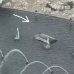 Mobil listrik tercebur ke kolam di Bundaran Hotel Indonesia bikin geger! Diduga karena kelalaian pengemudi, bukan murni error kendaraan. Foto: Tangkap layar IG @infowargajkt_