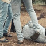 Ilustrasi, Kasus dugaan pengeroyokan terhadap mahasiswa Antropologi FIB Universitas Diponegoro, Arnendo, menjadi sorotan publik. Foto: Istcok @lakshmiprasad S