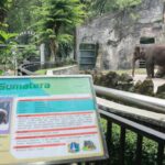 Taman Margasatwa Ragunan. Foto: Ist