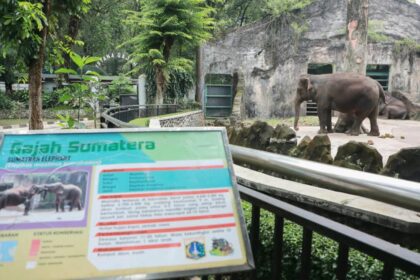 Taman Margasatwa Ragunan. Foto: Ist