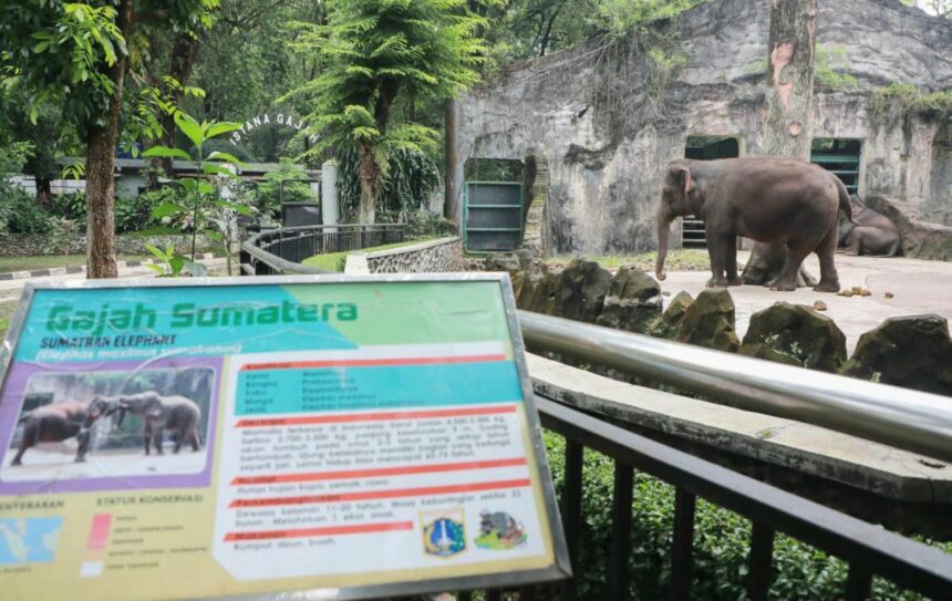 Taman Margasatwa Ragunan. Foto: Ist