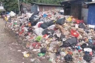 sampah pd kopi