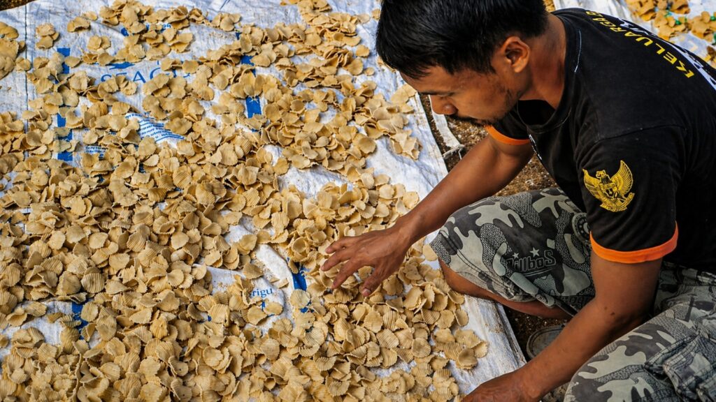 005a816f 059e 4a7a 803b ca2b610dd5ca