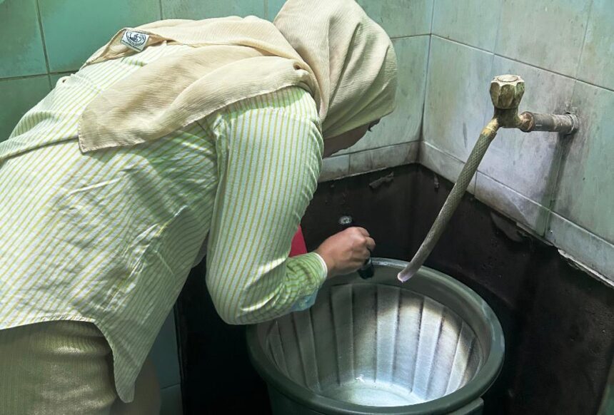 063ca38d5311d0a909678475d179db88