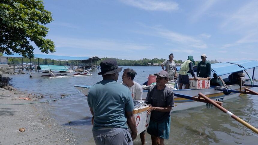 Mayoritas warga Desa Sausu Tambu yang berlokasi di Kabupaten Parigi Moutong, Sulawesi Tengah, menggantungkan hidup pada sektor perikanan dan pertanian, mulai dari petani sawah, kelapa, hingga kakao. Foto: Dok BRI