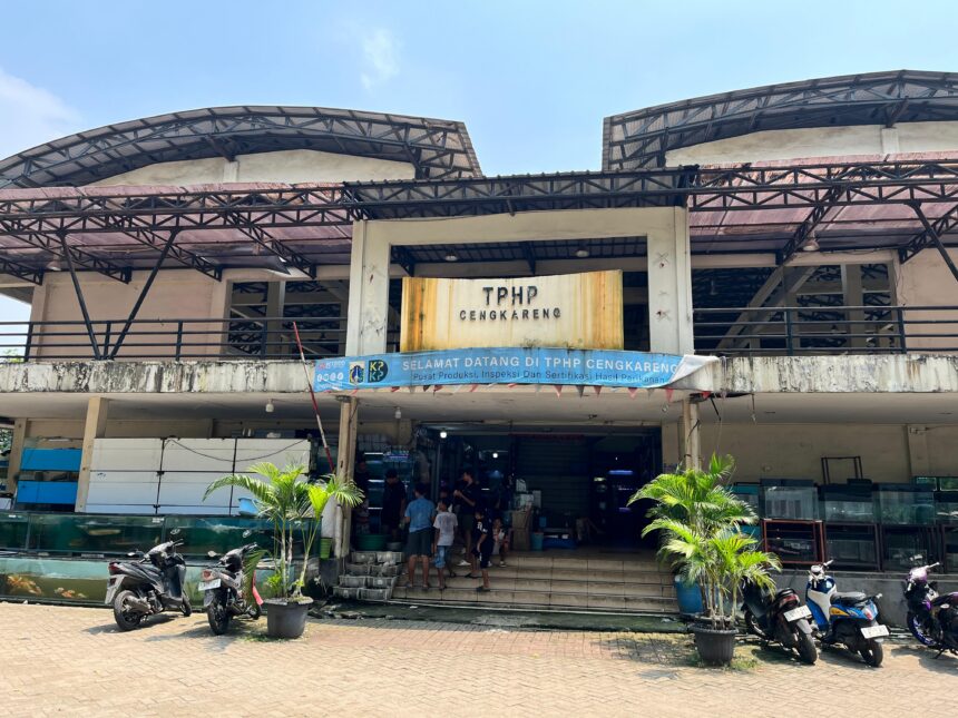 Tempat Promosi Hasil Perikanan (TPHP) Cengkareng jalan Cenderawasih, Cengkareng, Jakarta Barat. Foto: Ist