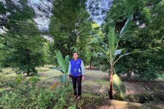 Mispa Lewi Yt, seorang tenaga pemasar mikro atau biasa disebut Mantri BRI yang bertugas di BRI Unit Ranteangin, Kabupaten Kolaka Utara, Sulawesi Tenggara. Foto: Dok BRI