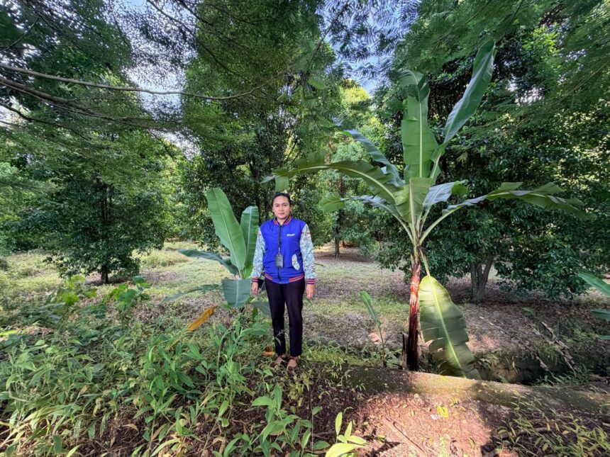 Mispa Lewi Yt, seorang tenaga pemasar mikro atau biasa disebut Mantri BRI yang bertugas di BRI Unit Ranteangin, Kabupaten Kolaka Utara, Sulawesi Tenggara. Foto: Dok BRI