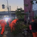 Sejumlah petugas PPSU melakukan penanganan evakuasi pohon tumbang di beberapa titik di wilayah Jakarta Timur, Minggu (12/4/2026). Sejumlah unit kendaraan roda dua tertimpa pohon yang tumbang. Foto: Ist