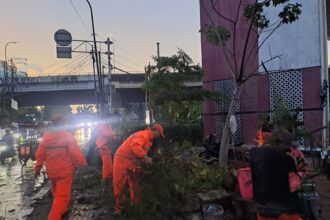 Sejumlah petugas PPSU melakukan penanganan evakuasi pohon tumbang di beberapa titik di wilayah Jakarta Timur, Minggu (12/4/2026). Sejumlah unit kendaraan roda dua tertimpa pohon yang tumbang. Foto: Ist