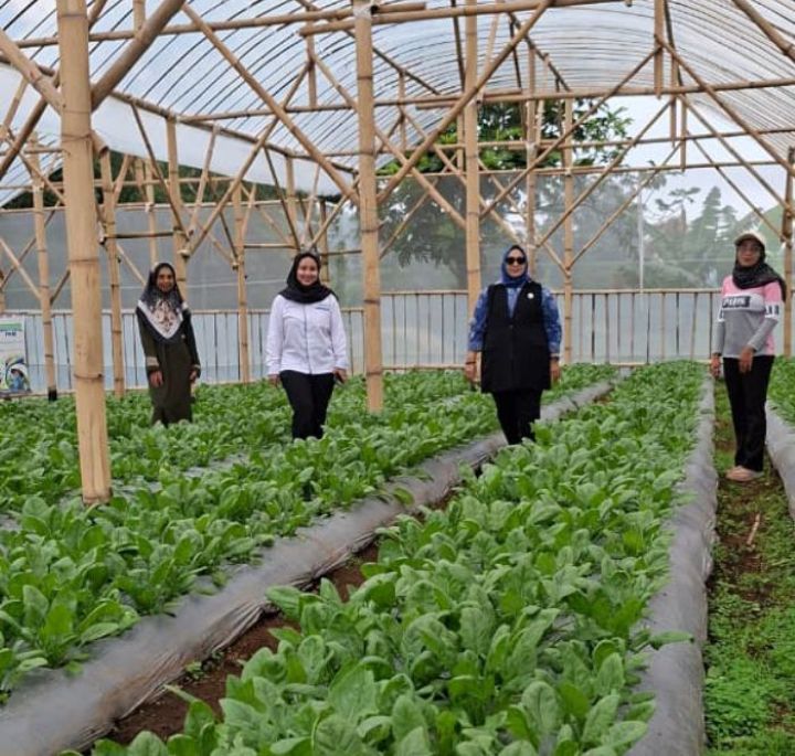 Dari Limbah Menjadi Sumber Penghidupan, Perempuan Nasabah PNM Mekaar di Bandung Barat Kembangkan Usaha lewat Sinergi Ultra Mikro BRI 2 brid2