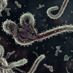 Ilustrasi Virus Ebola. Foto: Dok Kemenkes