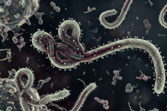 Ilustrasi Virus Ebola. Foto: Dok Kemenkes