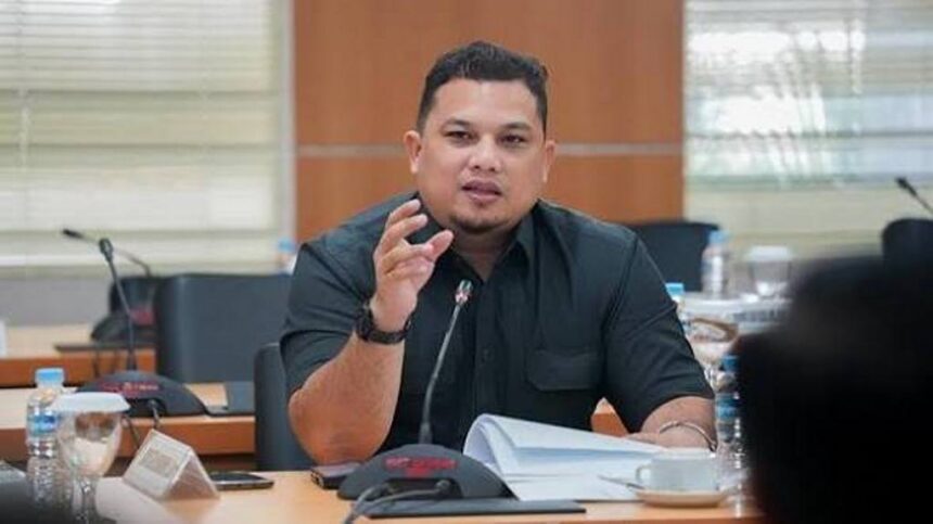 Anggota Komisi D DPRD DKI Jakarta, Ali Lubis