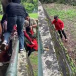 Seorang bocah perempuan terjatuh ke area pembatas kandang gajah setelah diduga bermain di atas pagar pembatas. Foto: Tangkap layar IG @ya564679