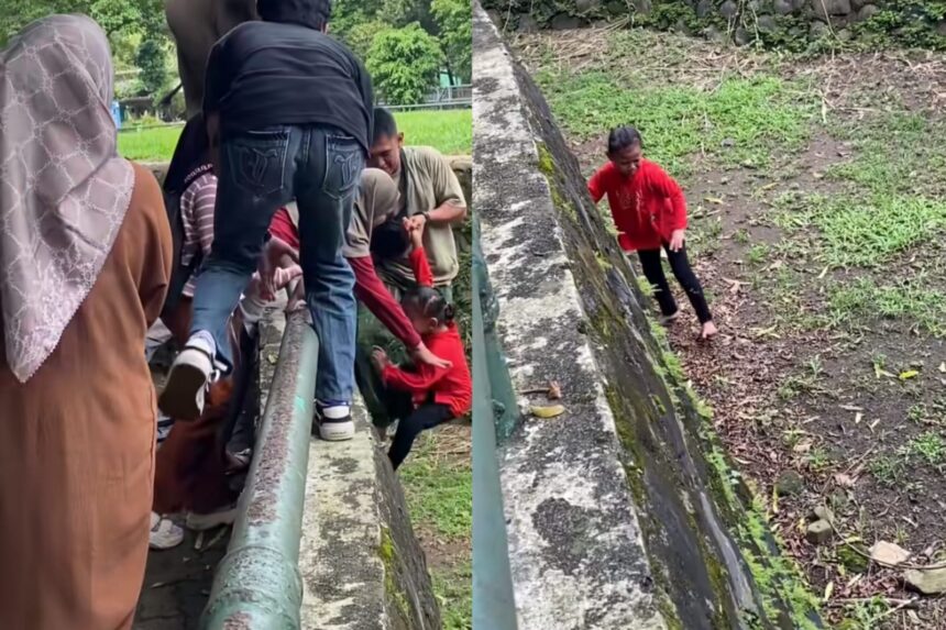 Seorang bocah perempuan terjatuh ke area pembatas kandang gajah setelah diduga bermain di atas pagar pembatas. Foto: Tangkap layar IG @ya564679