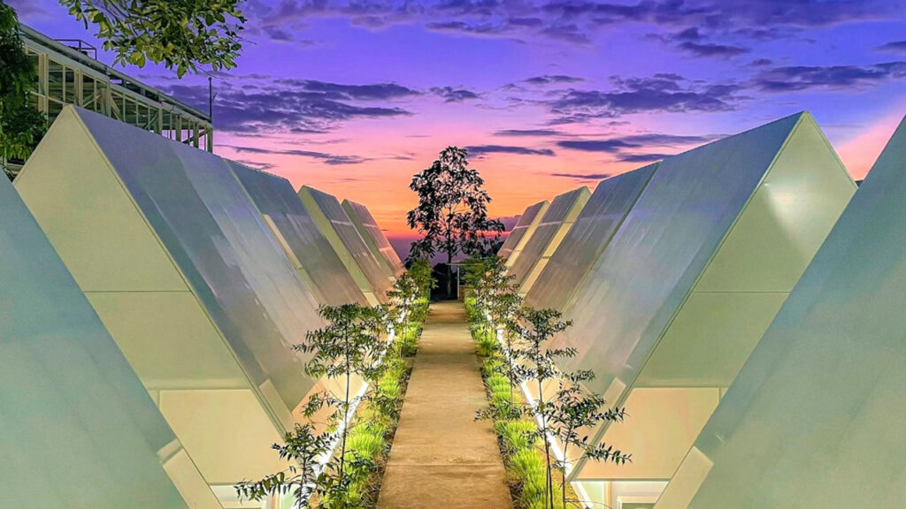 Lewat tiket Green, tiket.com Rekomendasikan 4 Destinasi Wellness dan Eco-Hospitality di Jawa Tengah 2 Rumah Atsiri Indonesia