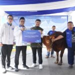 PNM salurkan hewan kurban kepada warga di sekitar wilayah layanan. Foto: PNM
