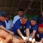 Wali Kota Jakarta Selatan, Muhamad Anwar menyembelih sapi limosin kurban dari Presiden Prabowo Subianto di halaman Masjid Darul Jannah, Kantor Pemkot Jakarta Selatan, Kamis (28/5/2026). Foto: Ist