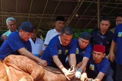 Wali Kota Jakarta Selatan, Muhamad Anwar menyembelih sapi limosin kurban dari Presiden Prabowo Subianto di halaman Masjid Darul Jannah, Kantor Pemkot Jakarta Selatan, Kamis (28/5/2026). Foto: Ist