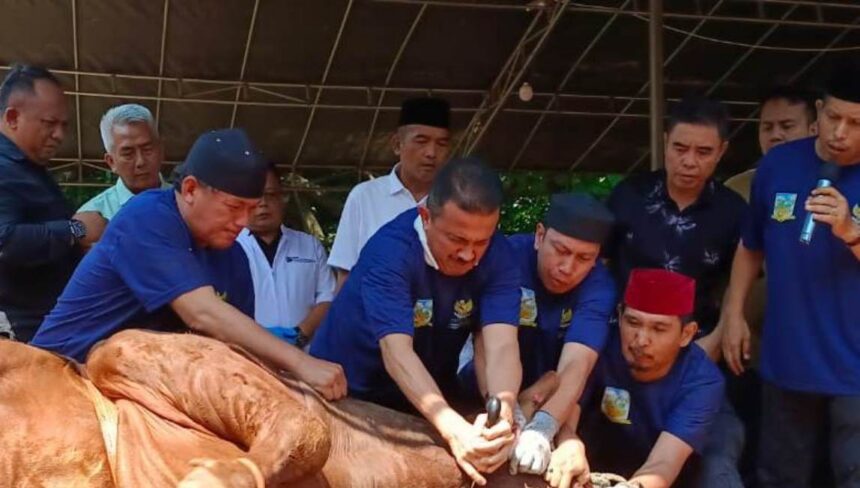 Wali Kota Jakarta Selatan, Muhamad Anwar menyembelih sapi limosin kurban dari Presiden Prabowo Subianto di halaman Masjid Darul Jannah, Kantor Pemkot Jakarta Selatan, Kamis (28/5/2026). Foto: Ist