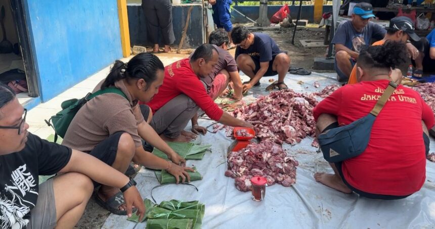 Para jurnalis tergabung di kelompok kerja Jurnalis Jakarta Utara membungkus daging kurban menggunakan daun pisang untuk dibagikan ke warga di kawasan Ancol, Pademangan, Jakarta Utara, Rabu (27/5/2026). Foto: Ist
