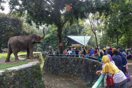Kandang Gajah di KB Ragunan. Foto : Ist