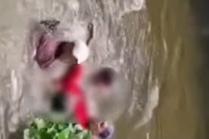 Seorang panitia kurban meninggal usai tenggelam di anak Sungai Musi saat mencuci babat hewan kurban. Foto: Tangkapan layar Instagram @info.negri