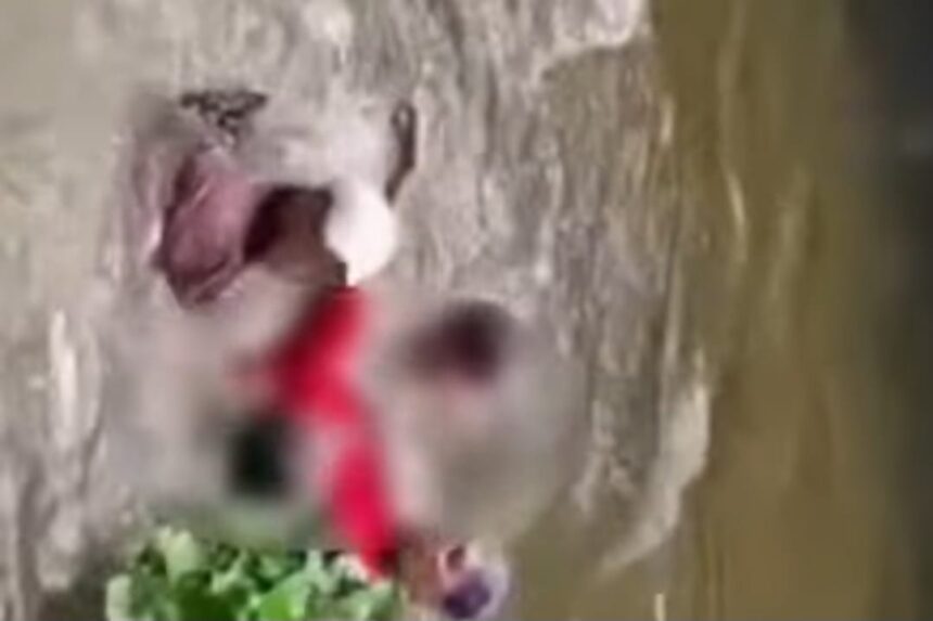 Seorang panitia kurban meninggal usai tenggelam di anak Sungai Musi saat mencuci babat hewan kurban. Foto: Tangkapan layar Instagram @info.negri