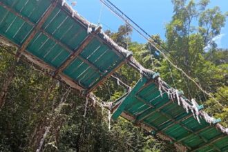 jembatan bajo