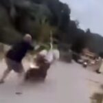Pria di Kendari diduga ditabrak usai menegur pengendara motor yang berkendara ugal-ugalan. Foto: Tangkapan layar Instagram @medsoszone