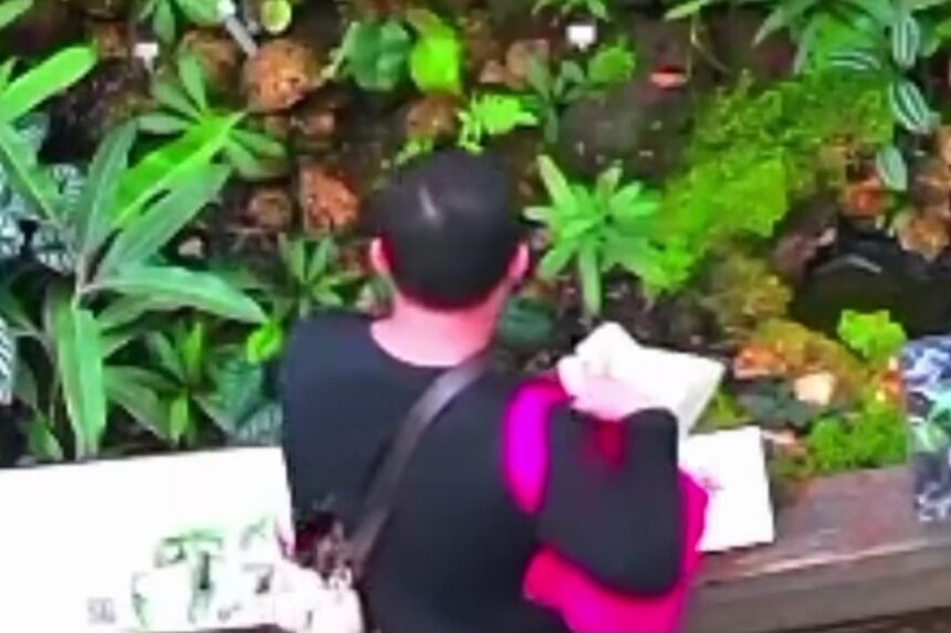 Tanaman konservasi langka di Kebun Raya Bogor ternyata jadi sasaran pencurian. Foto: Tangkap layar IG @bogor24update