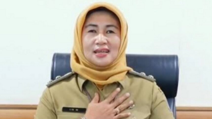 Walikota Jakbar, Lin Mutmainah