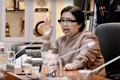 Anggota Komisi IX DPR RI Irma Suryani Foto Mario Karisma20260612150118