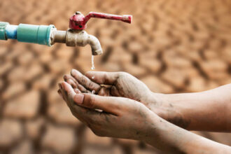 IMG 20260610 WA0033