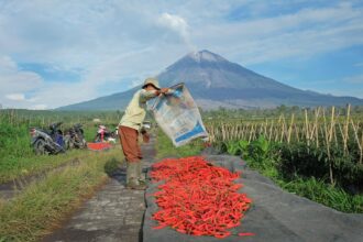 Realisasi penyaluran KUR BRI yang sepanjang Januari hingga Mei 2026 telah mencapai Rp84,36 triliun atau setara 46,87% dari total alokasi KUR tahun 2026 sebesar Rp180 triliun. Foto: Dok BRI
