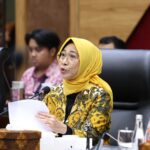 Ketua Komisi X DPR RI Hetifah Sjaifudian saat memimpin RDP dengan Kepala Perpusnas RI terkait pendal20260617140422