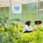 PNM raih empat penghargaan dalam ajang ISA 2026 sebagai bentuk apresiasi atas komitmen perusahaan dalam menerapkan prinsip Environmental, Social, and Governance (ESG)