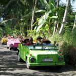 Mitra industri pariwisata mancanegara tengah mengikuti program Mega FAM Trip 2026 di Yogyakarta yang diadakan oleh Kementerian Pariwisata pada 22-27 Mei 2026.Foto: Dok Humas