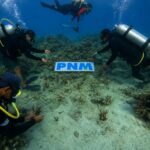 PNM lakukan pelestarian ekosistem laut. Foto: dok. PNM