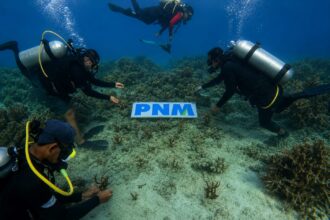PNM lakukan pelestarian ekosistem laut. Foto: dok. PNM