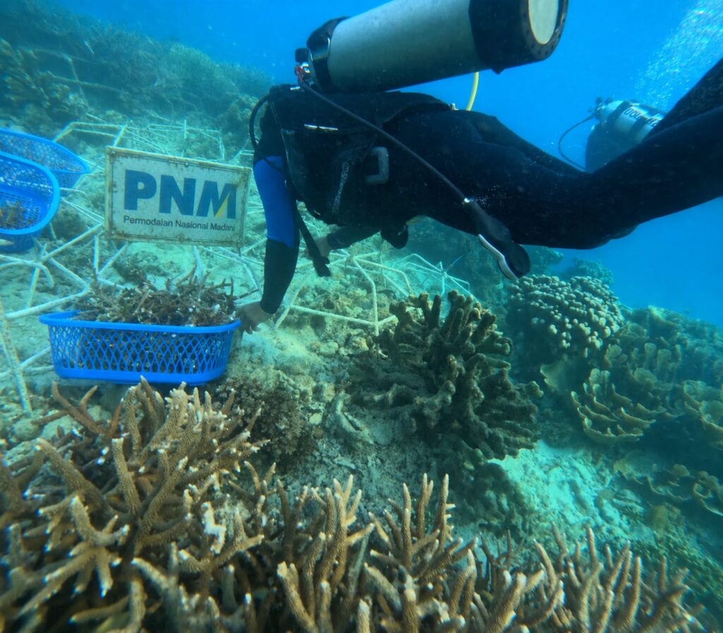 Upaya PNM Hadirkan Masa Depan Anak-Anak Lewat Pelestarian Laut 2 WhatsApp Image 2026 06 09 at 14.59.37