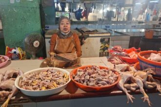 Sutina, pedagang ayam potong di Pasar Cibubur, Kecamatan Ciracas, Jakarta Timur. Foto: Joesvicar Iqbal/ipol.id
