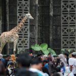 Taman Margasatwa Ragunan. Foto: Ist